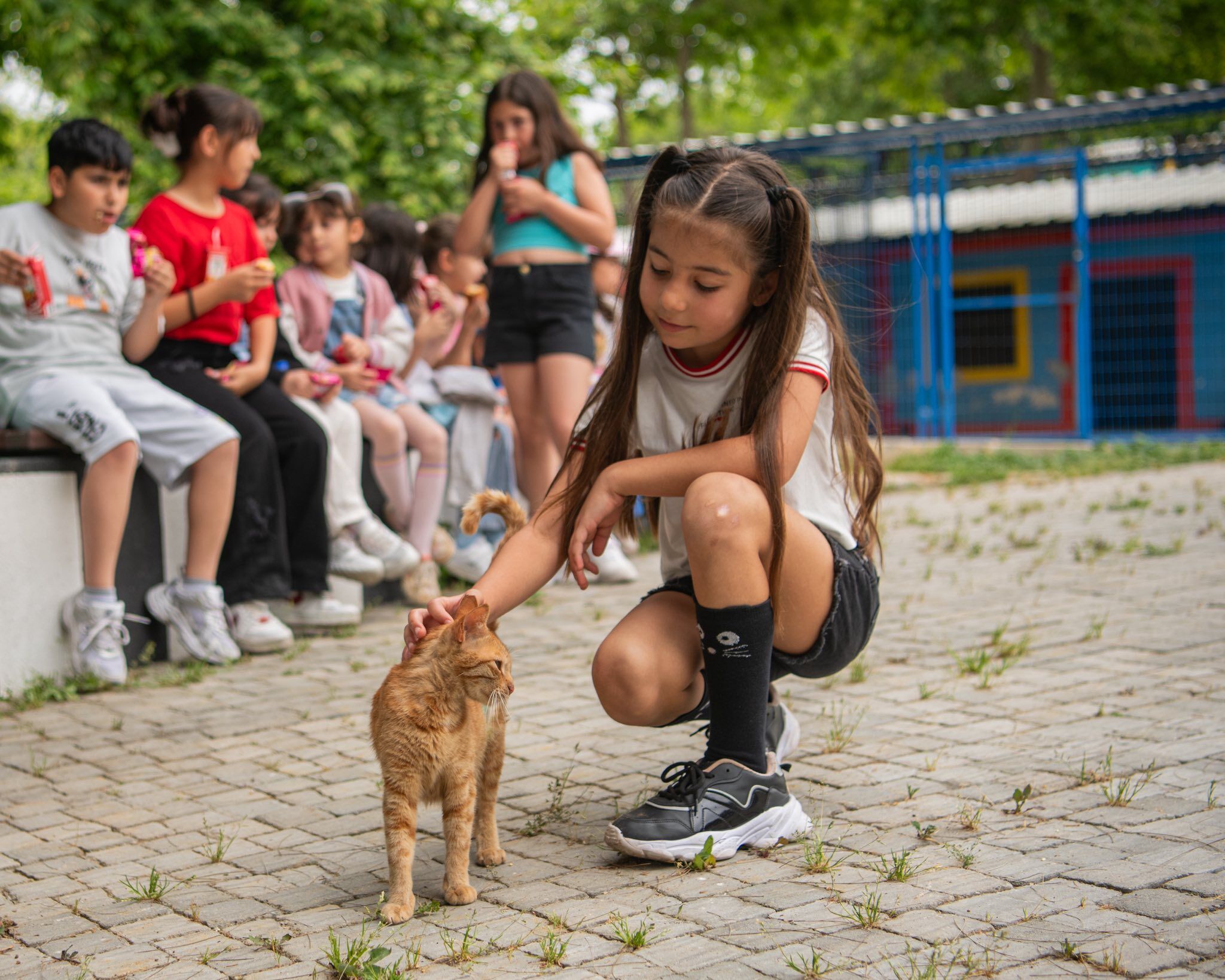 Kusadasinda 195 Can Dost Yeni Yuvasina Kavustu 603059 D302714Df70D6Cf740E007C370307267