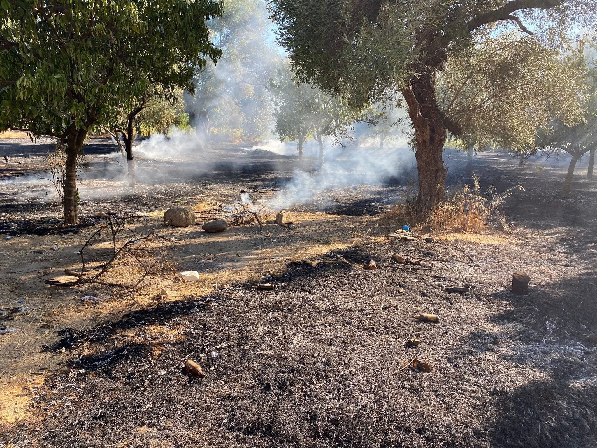 Whatsapp Image 2025 09 20 At 19.30.28 (1)