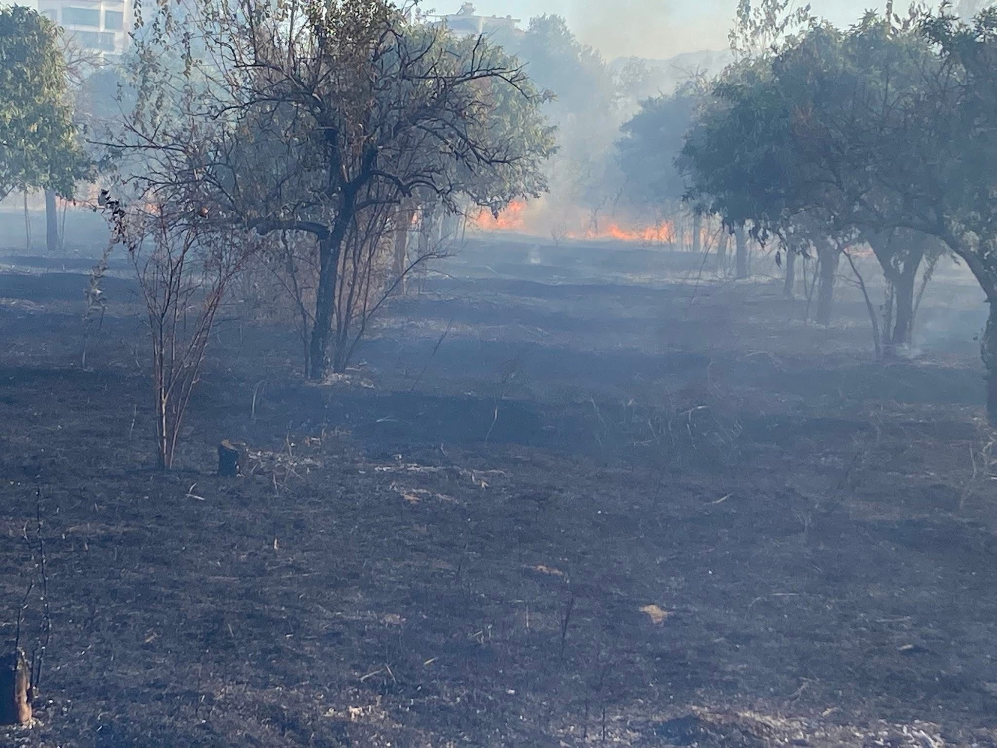 Whatsapp Image 2025 09 20 At 19.30.28 (2)