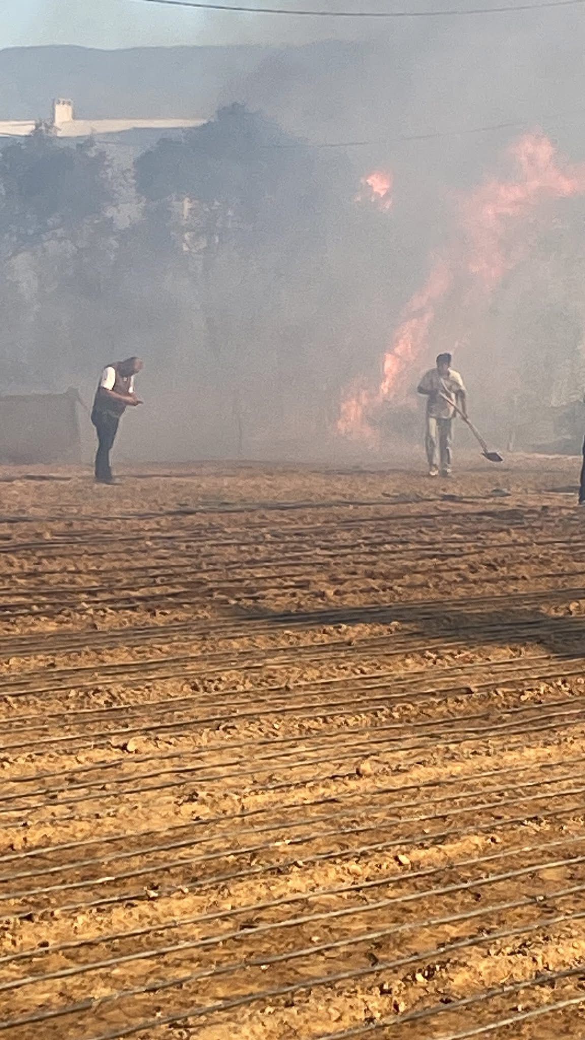 Whatsapp Image 2025 09 20 At 19.30.28