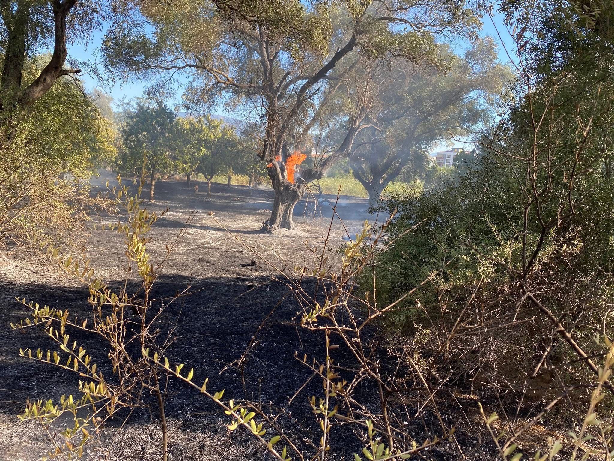 Whatsapp Image 2025 09 20 At 19.30.29