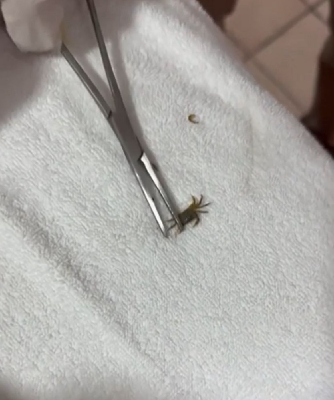 Whatsapp Image 2025 09 23 At 17.34.22