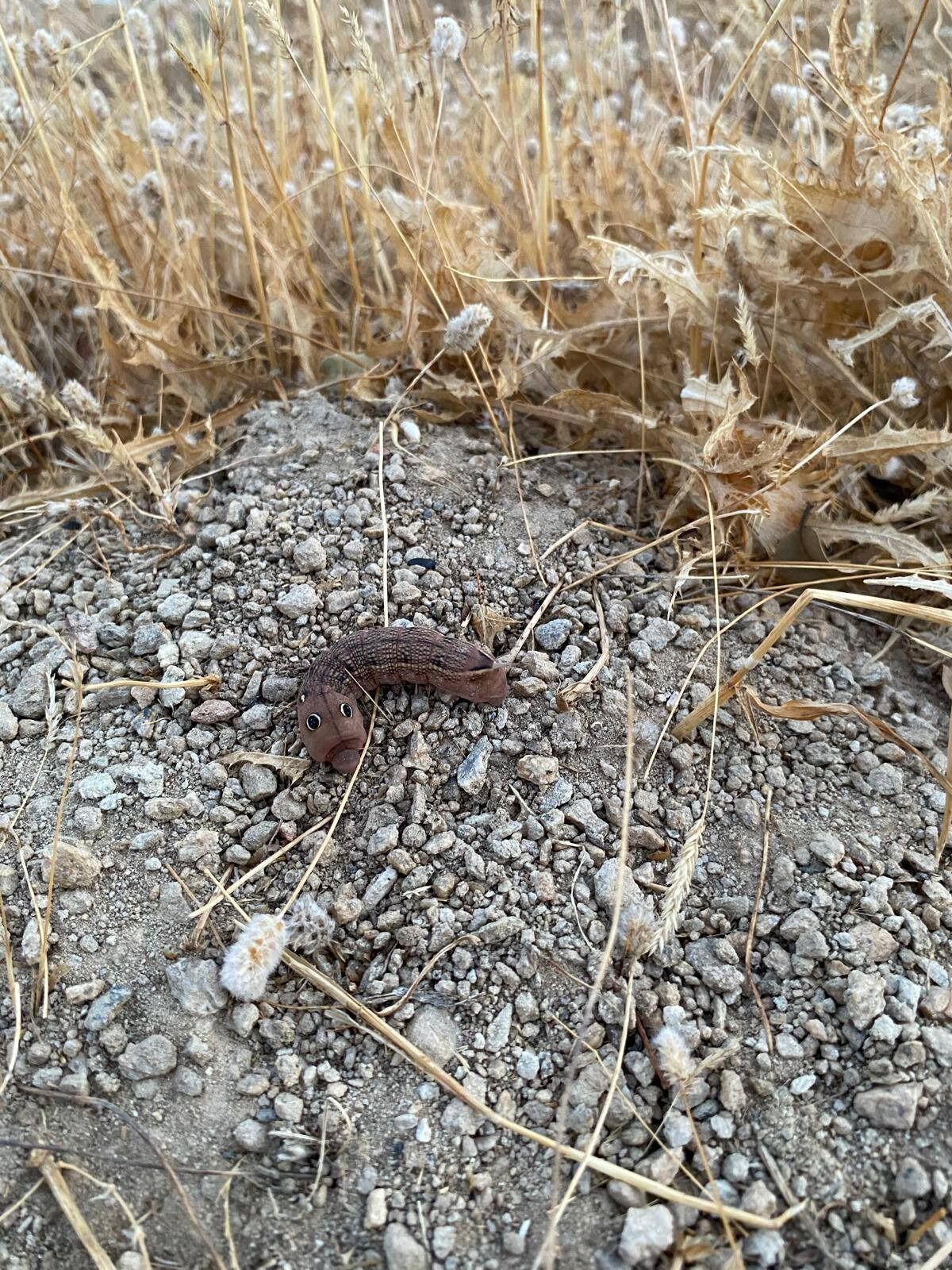 Whatsapp Image 2025 09 27 At 18.25.19