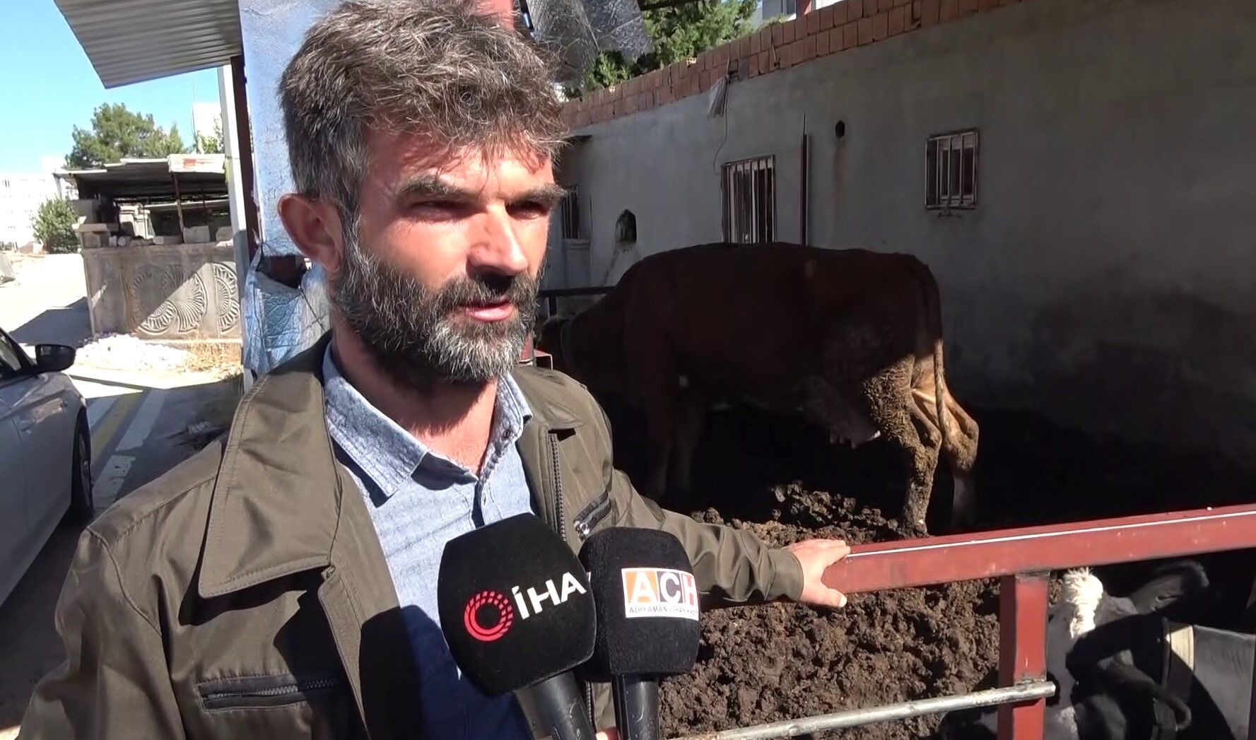 Ahırdaki ahlaksızlık saniye saniye kaydedildi! 25 günlük buzağının sahibi şokta