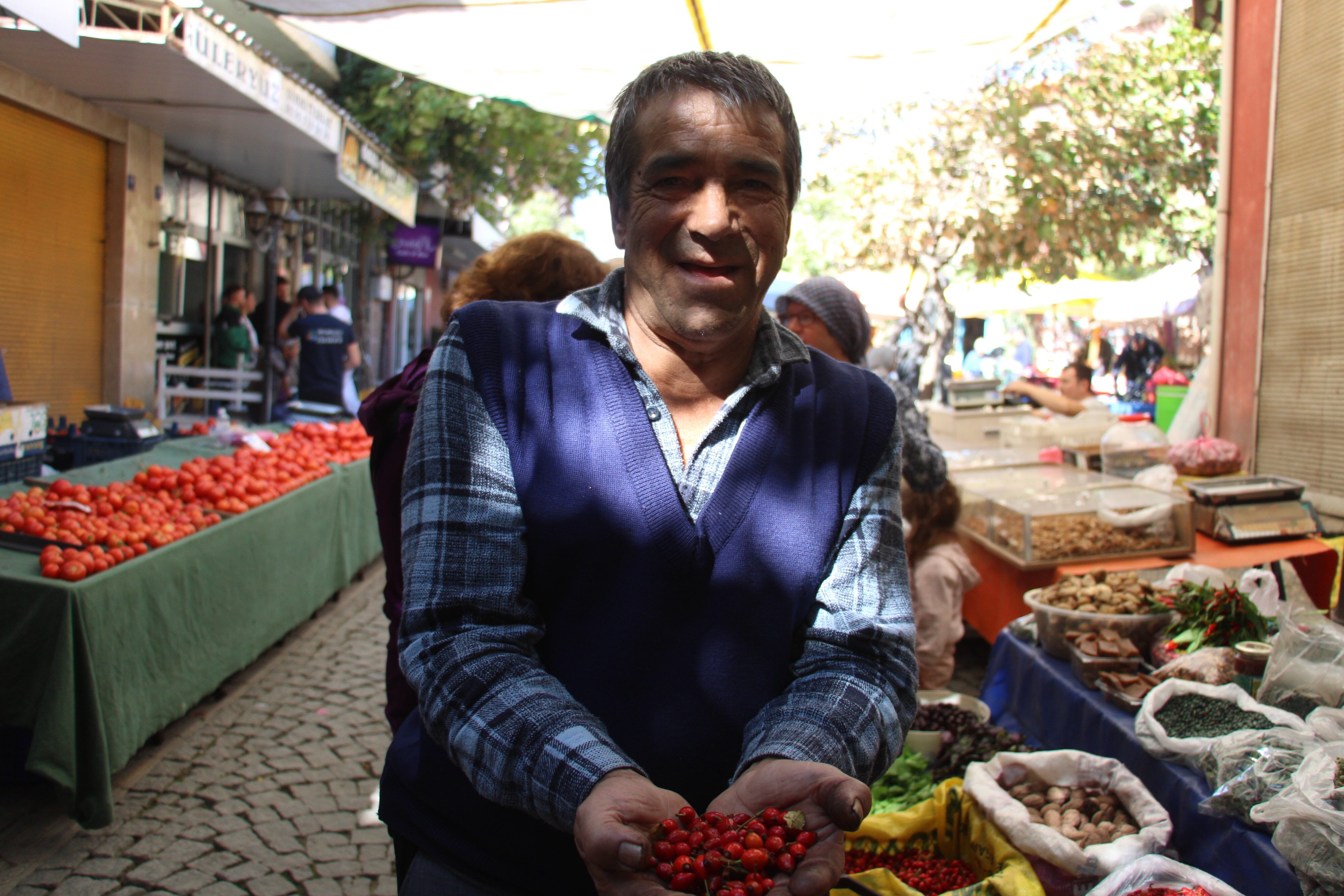 Aydın’da kuşburnu sezonu başladı