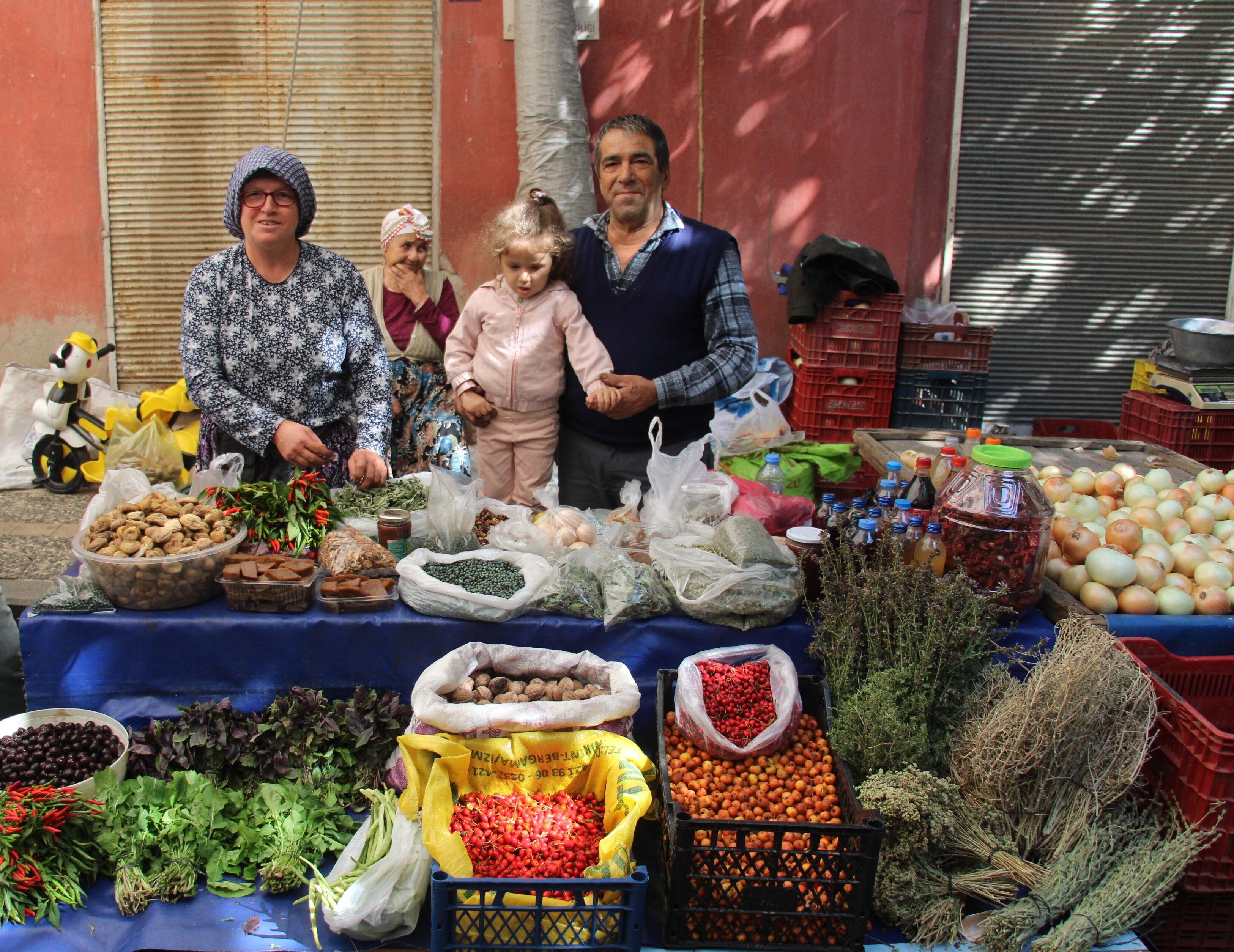 Aydın’da kuşburnu sezonu başladı