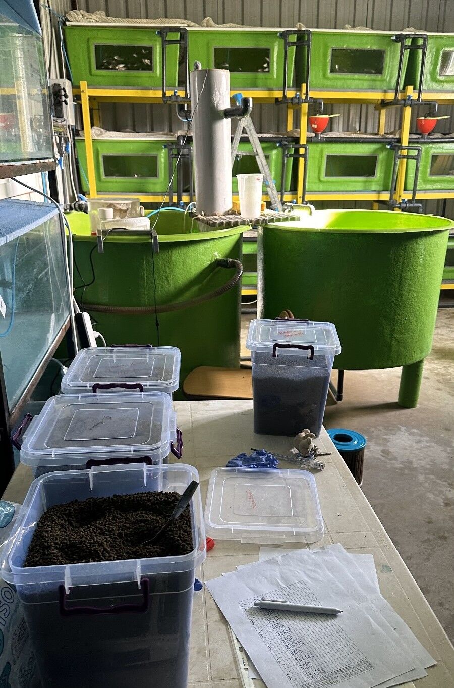 ADÜ dünyada bir ilke imza atıyor! Türkiye'ye prestij kazandıracak