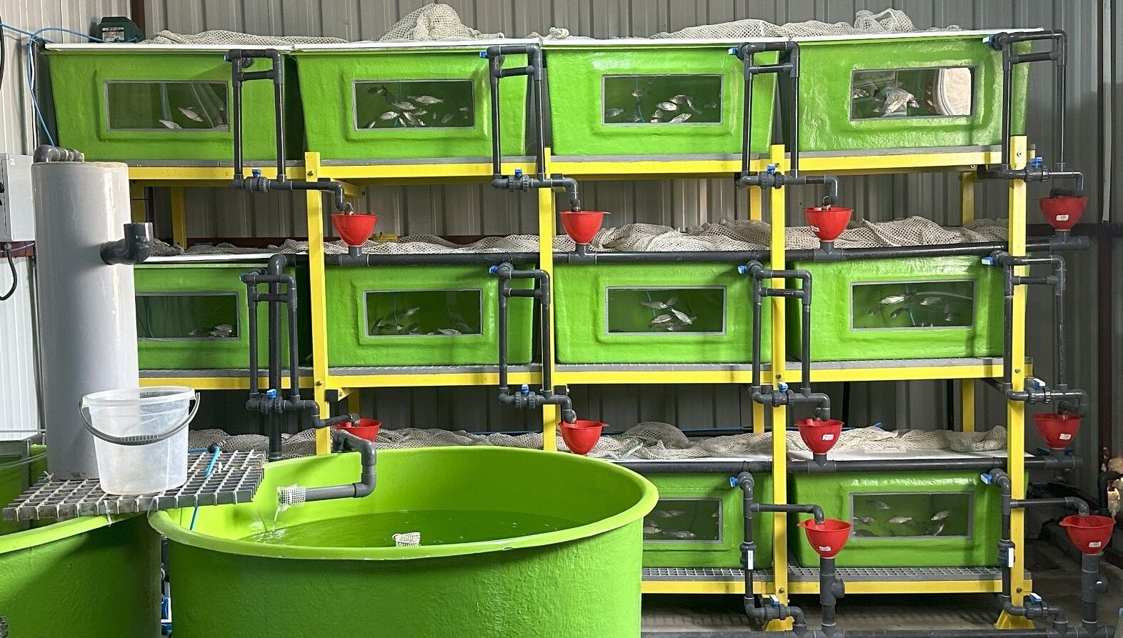 ADÜ dünyada bir ilke imza atıyor! Türkiye'ye prestij kazandıracak