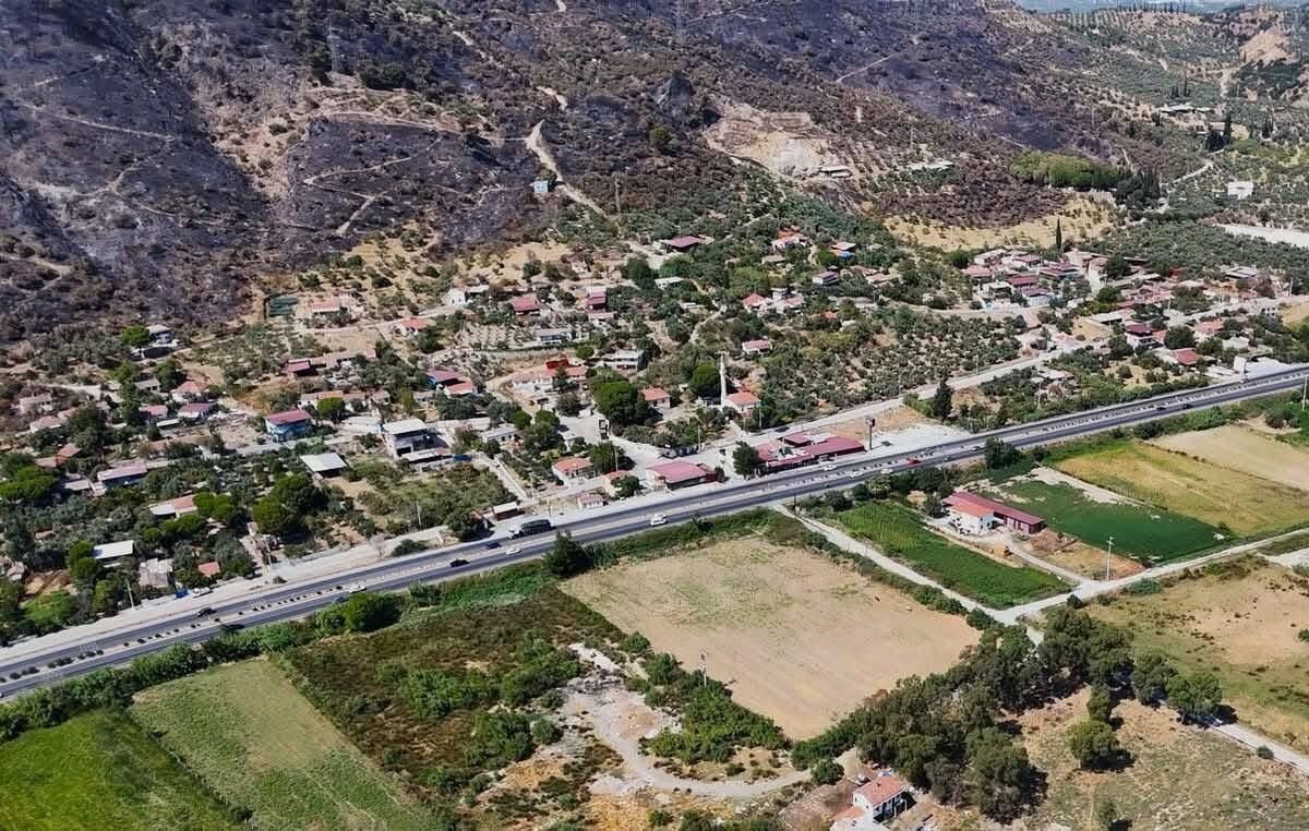 Aydın’da sulak alanlar tehlike altında!