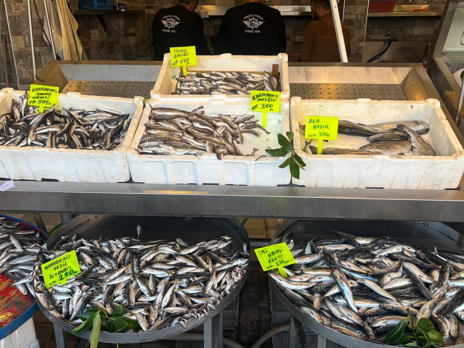 Aydın’da 80 çeşit balıkla hizmet veriyor