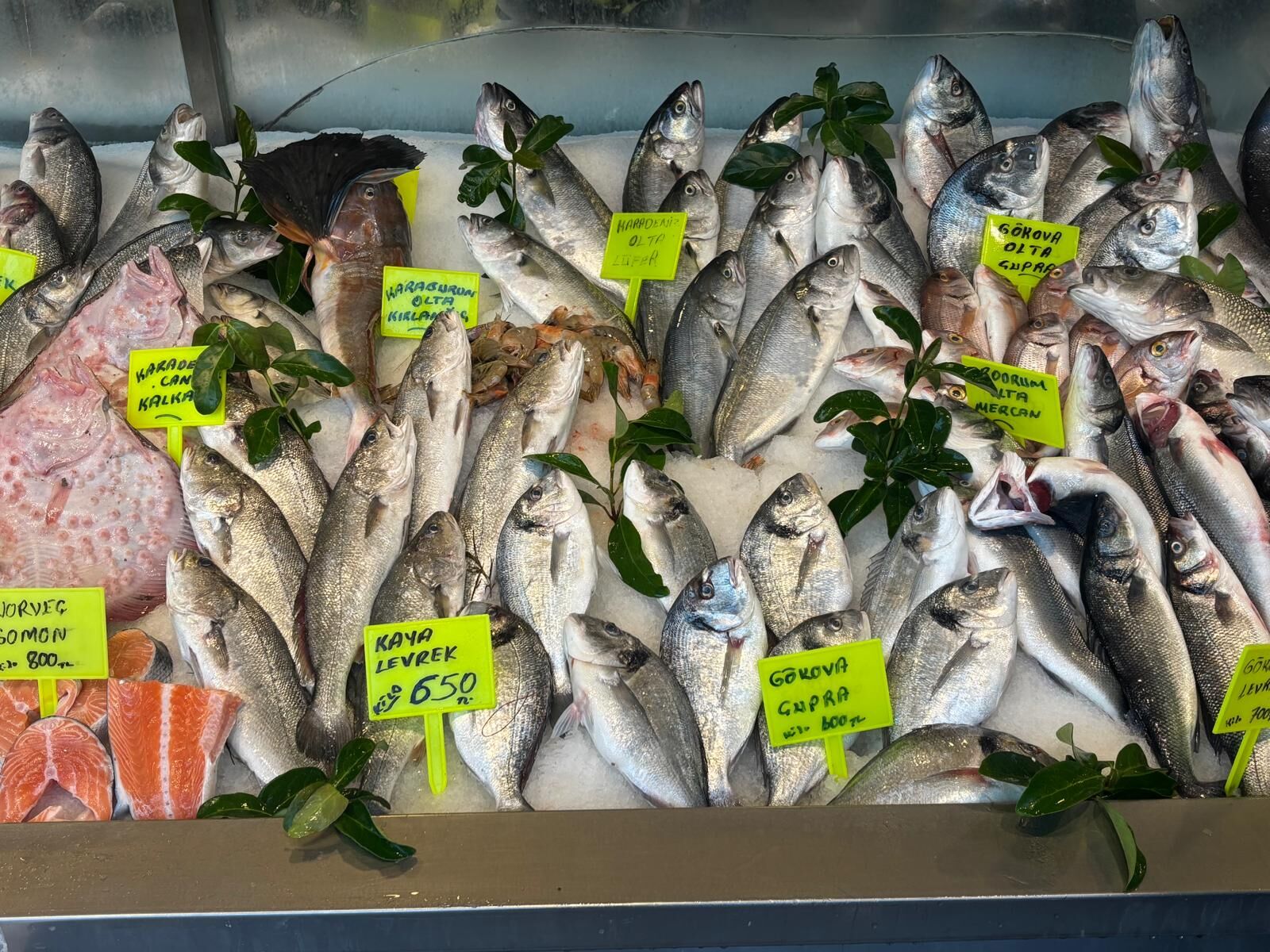 Aydın’da 80 çeşit balıkla hizmet veriyor