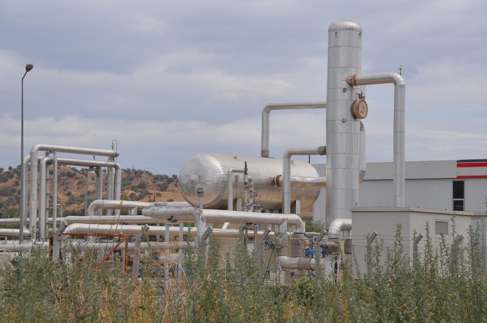 Aydın'da büyük tehlike önlendi! Ölümcül istilaya geçit verilmedi