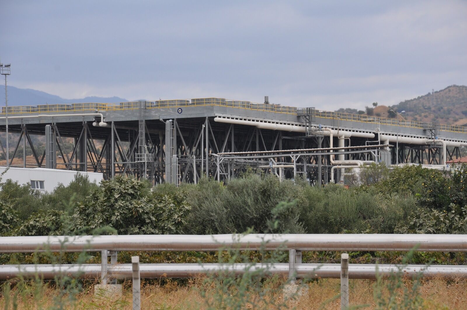 Aydın'da büyük tehlike önlendi! Ölümcül istilaya geçit verilmedi