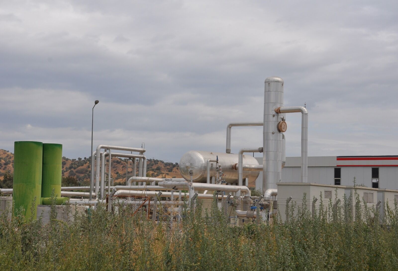 Aydın'da büyük tehlike önlendi! Ölümcül istilaya geçit verilmedi