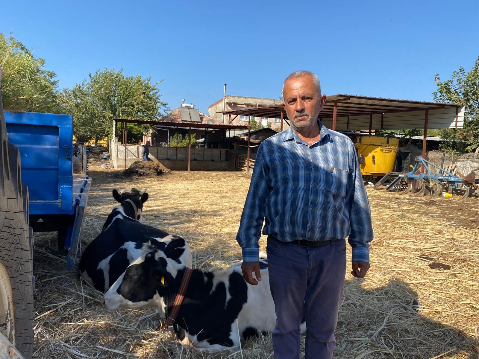 Aydın'da çiftçilikten zarar etti, hayvancılığa yöneldi