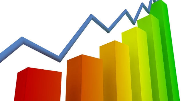 Aydinda Hanehalki Buyuklugu Belli Oldu Tek Kisilik Yasam Artti 610279 35E2025Bf42D523A32C21F4Dc661B6Db