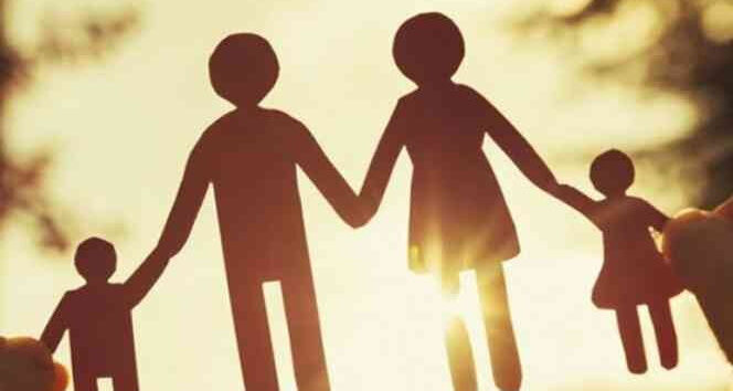 Aydinda Hanehalki Buyuklugu Belli Oldu Tek Kisilik Yasam Artti 610279 D8B94E821F4F10F0F43B160C68E1B7A0