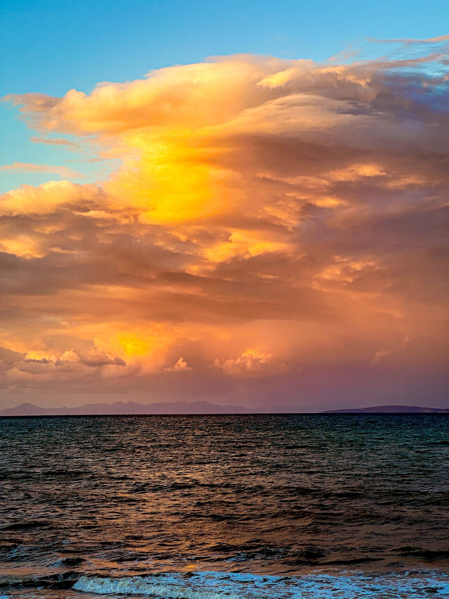 Aydın’da nadir kuş türüne rastlandı