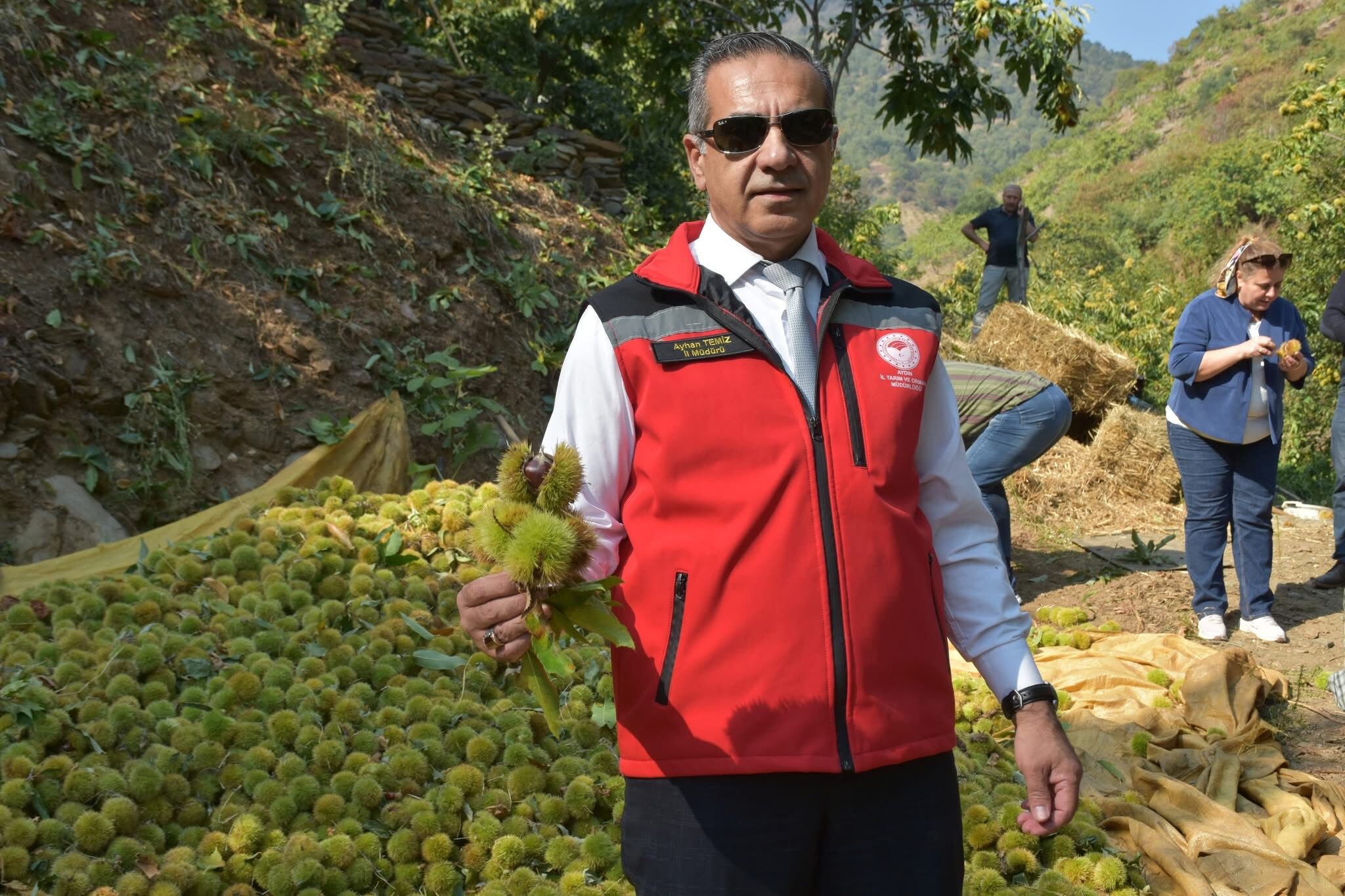 Aydinin Tescilli Urunune Hasat Sevinci Ulkenin Yuzde 33Luk Payi Aydindan 607037 371E45070Ad86F32B98Cef58891826F5