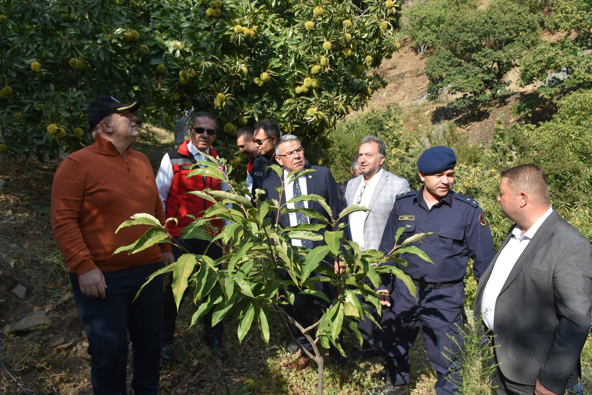 Aydinin Tescilli Urunune Hasat Sevinci Ulkenin Yuzde 33Luk Payi Aydindan 607037 6Aea04838Cb5D4A2634E65364E8Bed66