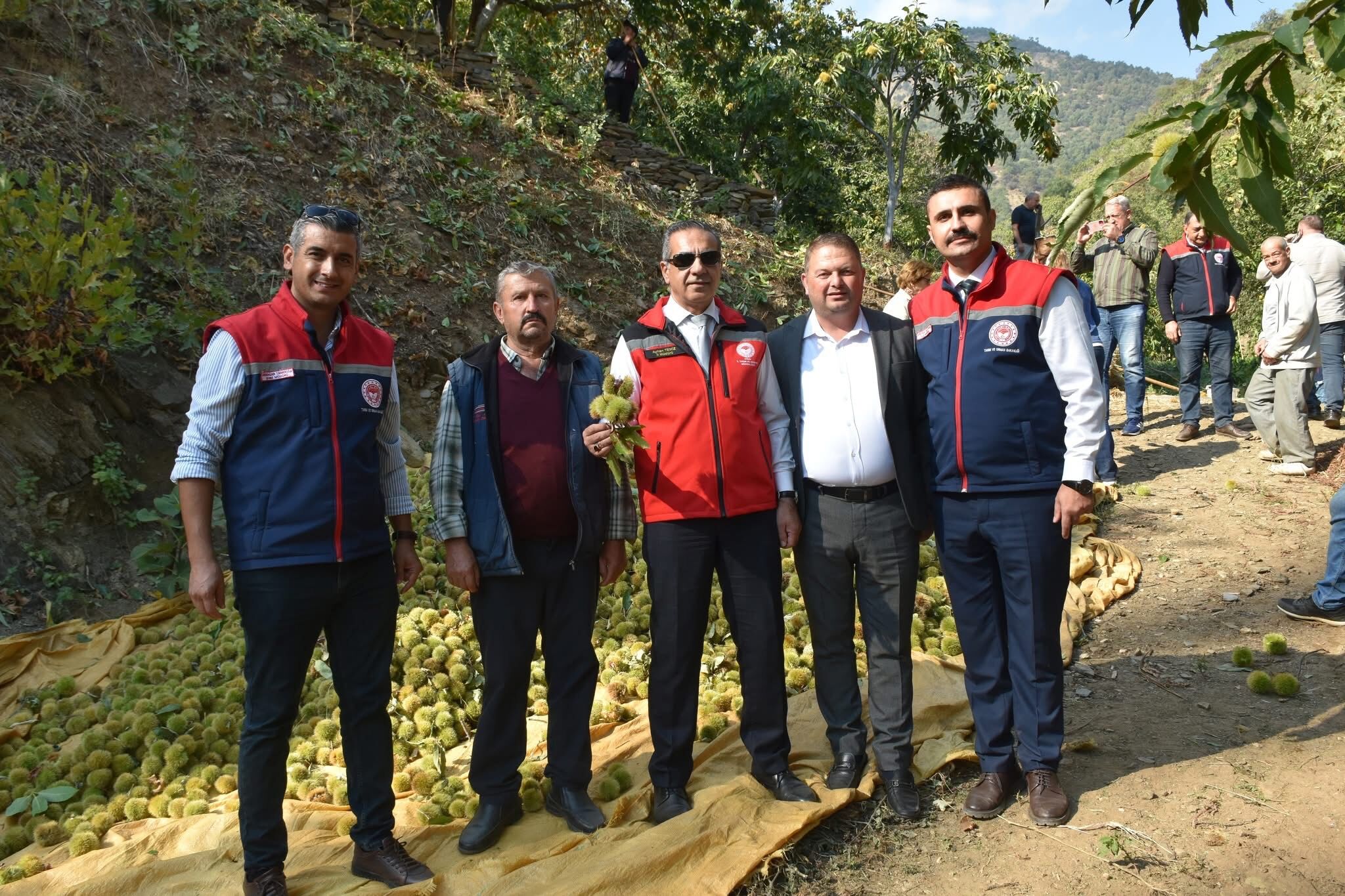 Aydinin Tescilli Urunune Hasat Sevinci Ulkenin Yuzde 33Luk Payi Aydindan 607037 D077Ef2Adf153888A929E3F0Da4Fdcee