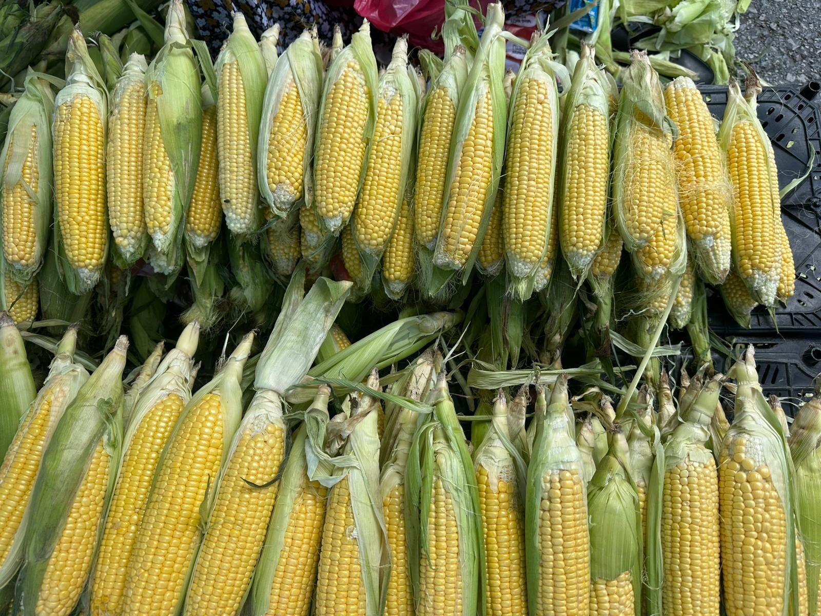 Aydınlı Hürriyet teyzeden engelli eşine 50 yıllık destek 