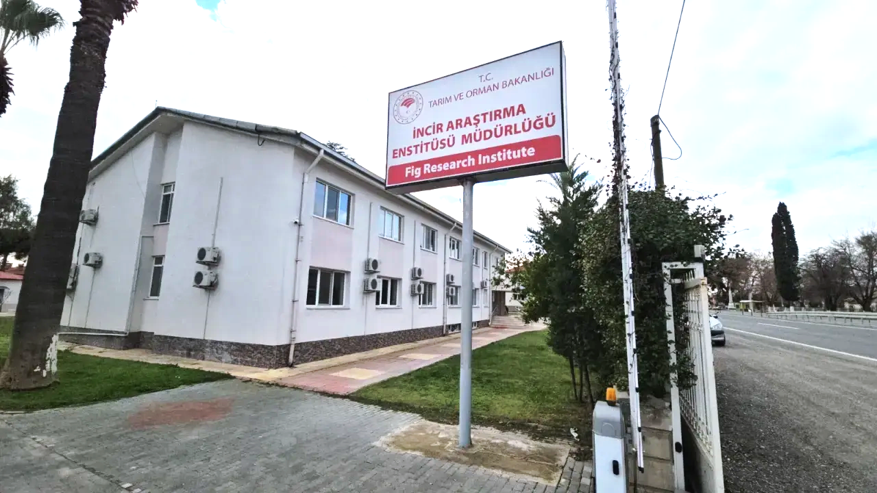 Bakan Yumaklı’dan ‘Aydın İnciri’ için önemli açıklama
