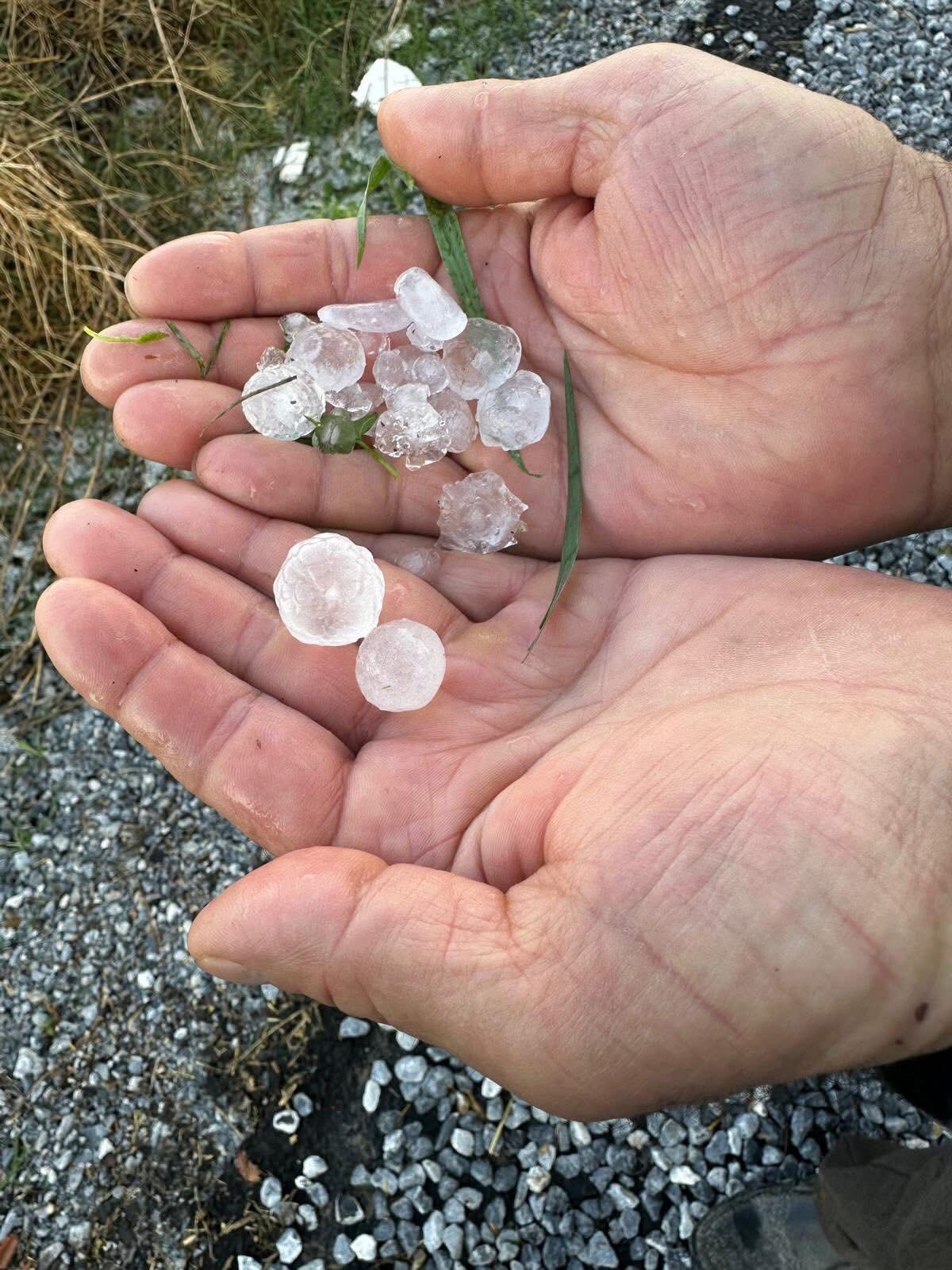 İncirliova’da dolu tarımı vurdu