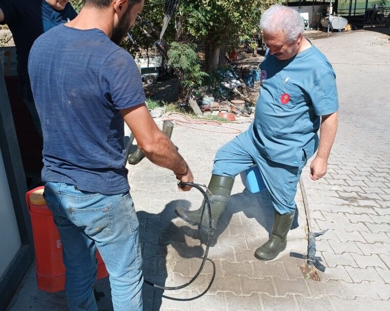 Nazillili Yetistiriciye Iyi Haber Asilama Calismasi Tamamlandi 605275 65F774C5A7F7687516326306Ed85E1Bd