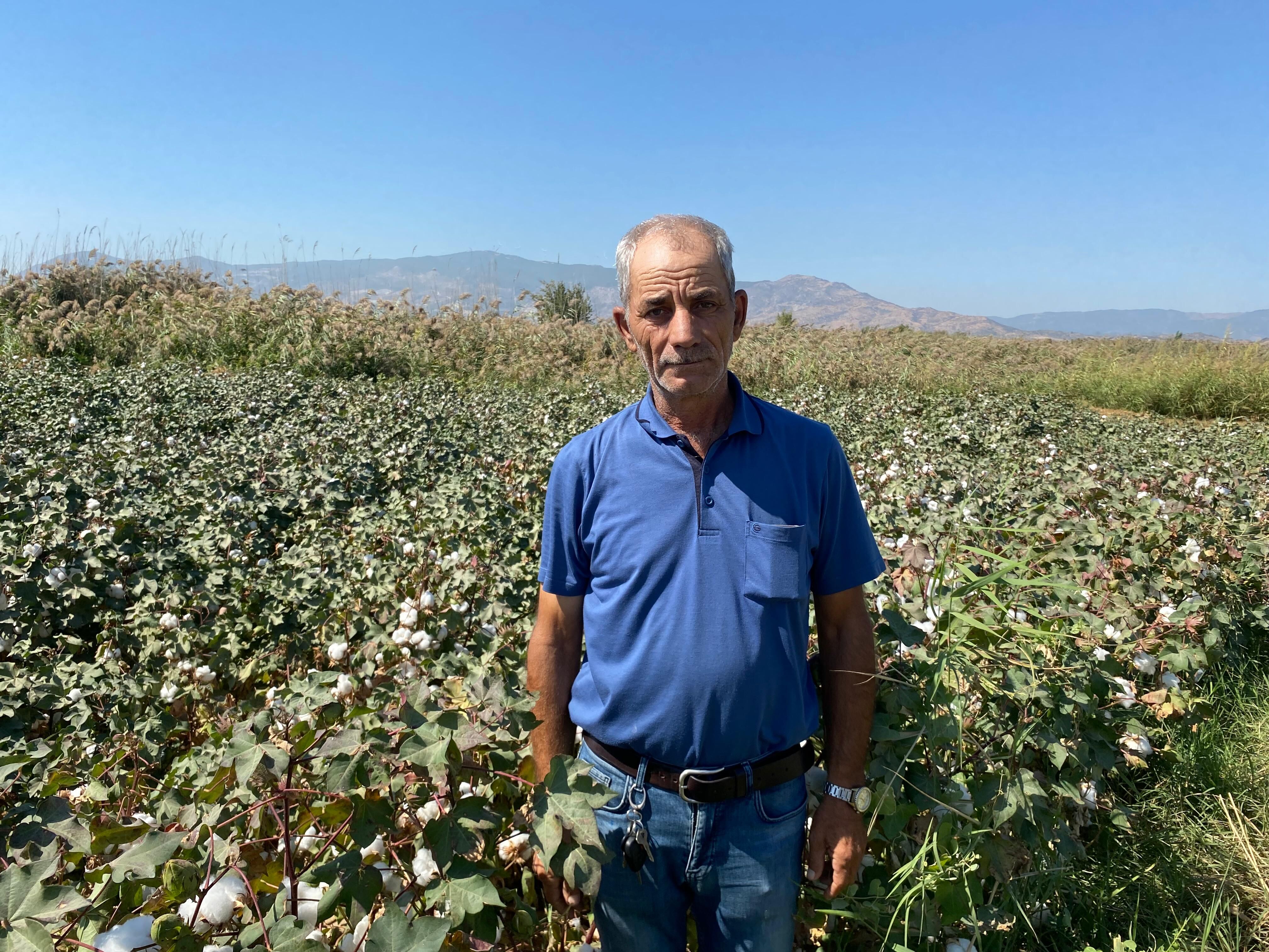 'Beyaz Altın'da endişeli bekleyiş: Aydın’da gelecek yıl ekim yarı yarıya düşebilir