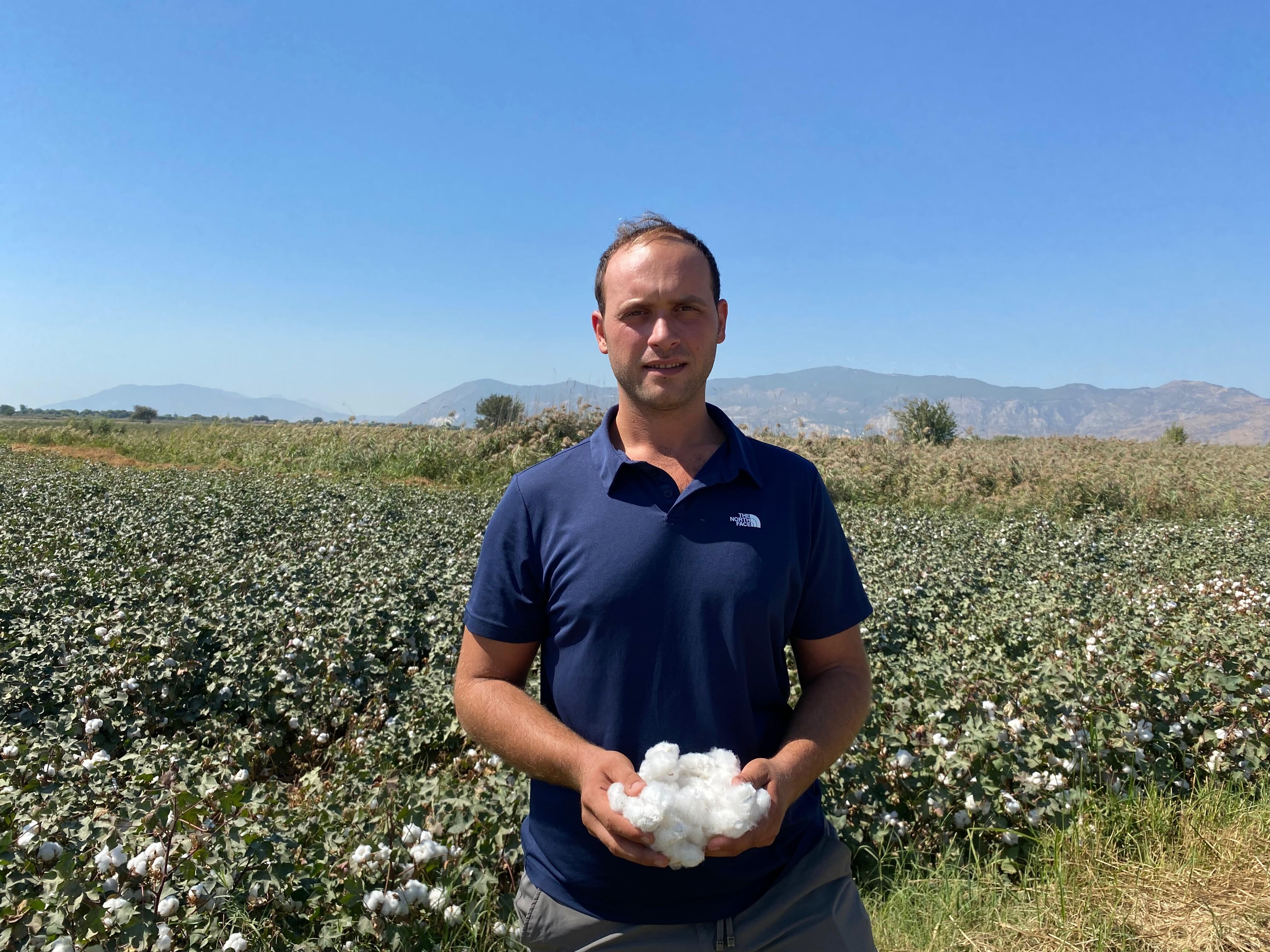 'Beyaz Altın'da endişeli bekleyiş: Aydın’da gelecek yıl ekim yarı yarıya düşebilir