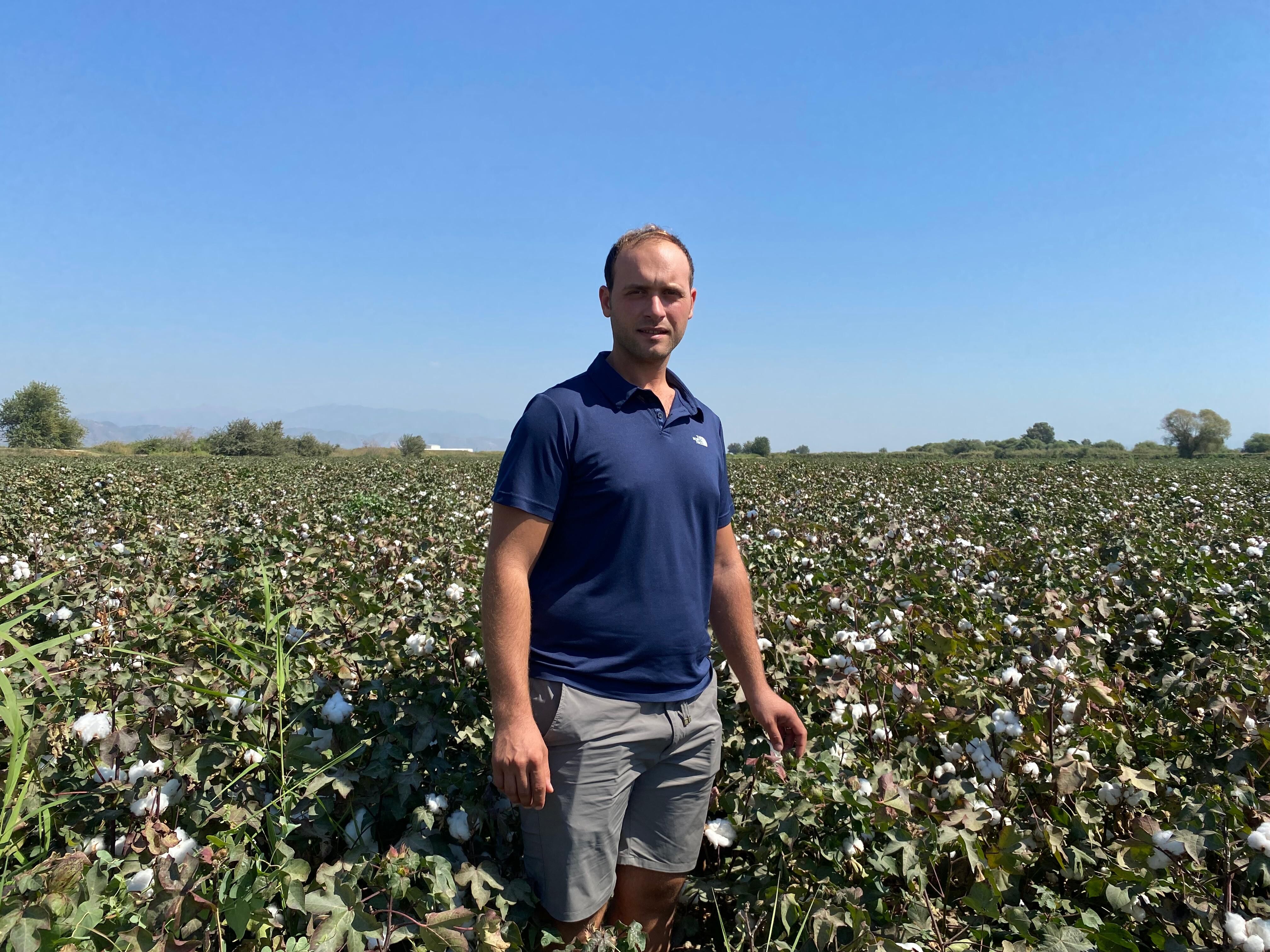 'Beyaz Altın'da endişeli bekleyiş: Aydın’da gelecek yıl ekim yarı yarıya düşebilir