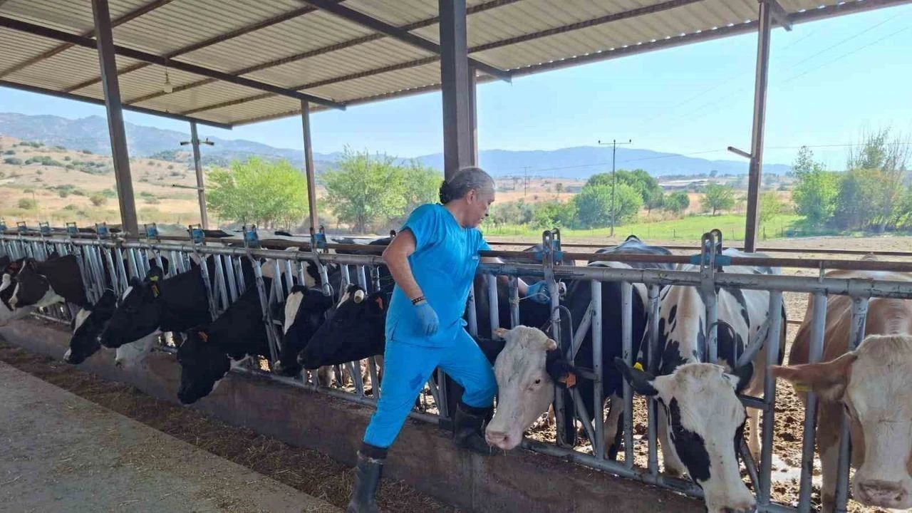 Whatsapp Image 2025 10 04 At 14.31.38 (1)