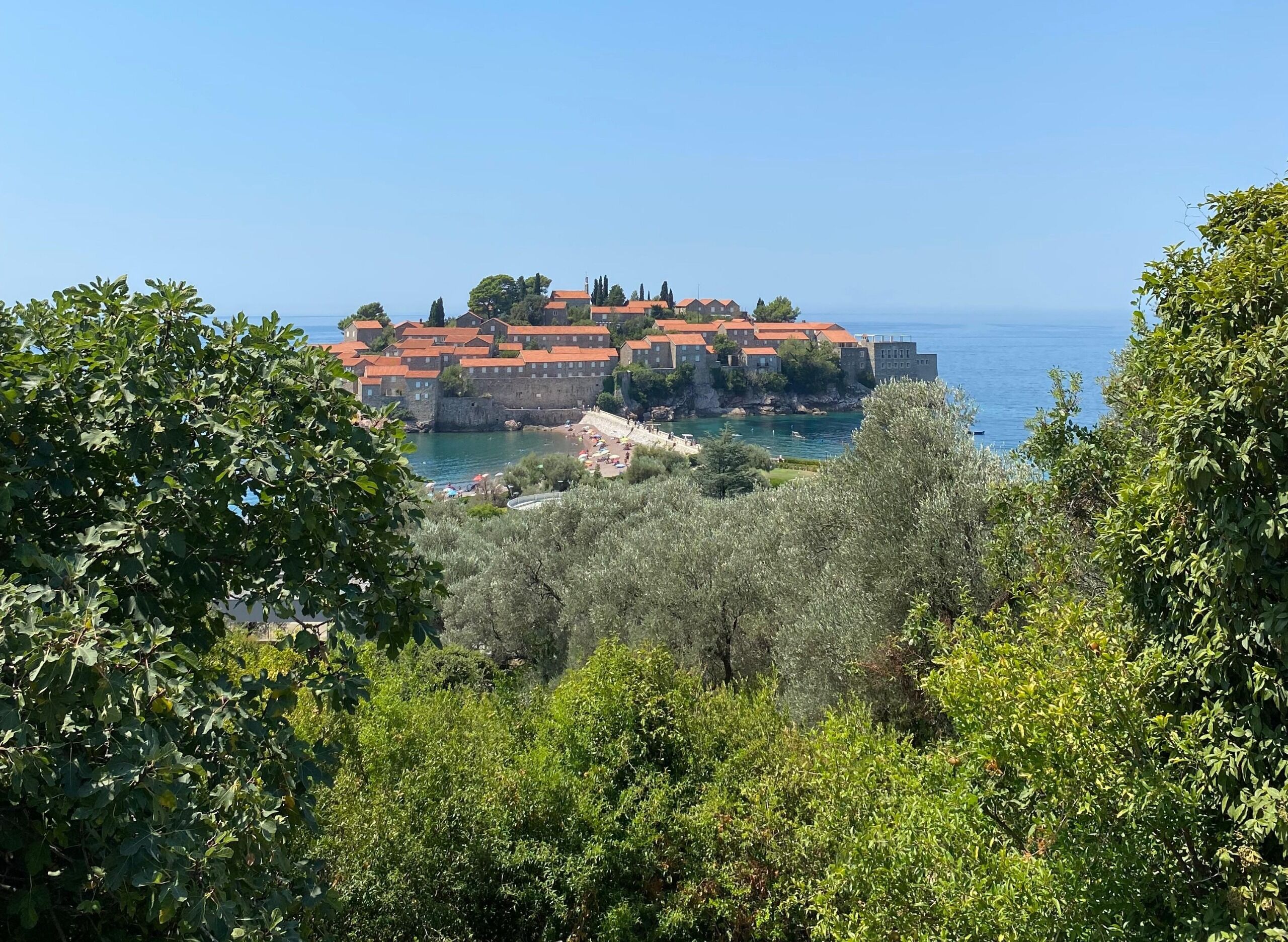 Whatsapp Image 2025 10 30 At 10.10.17