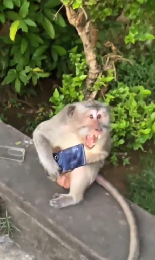 Whatsapp Image 2025 10 30 At 12.23.40