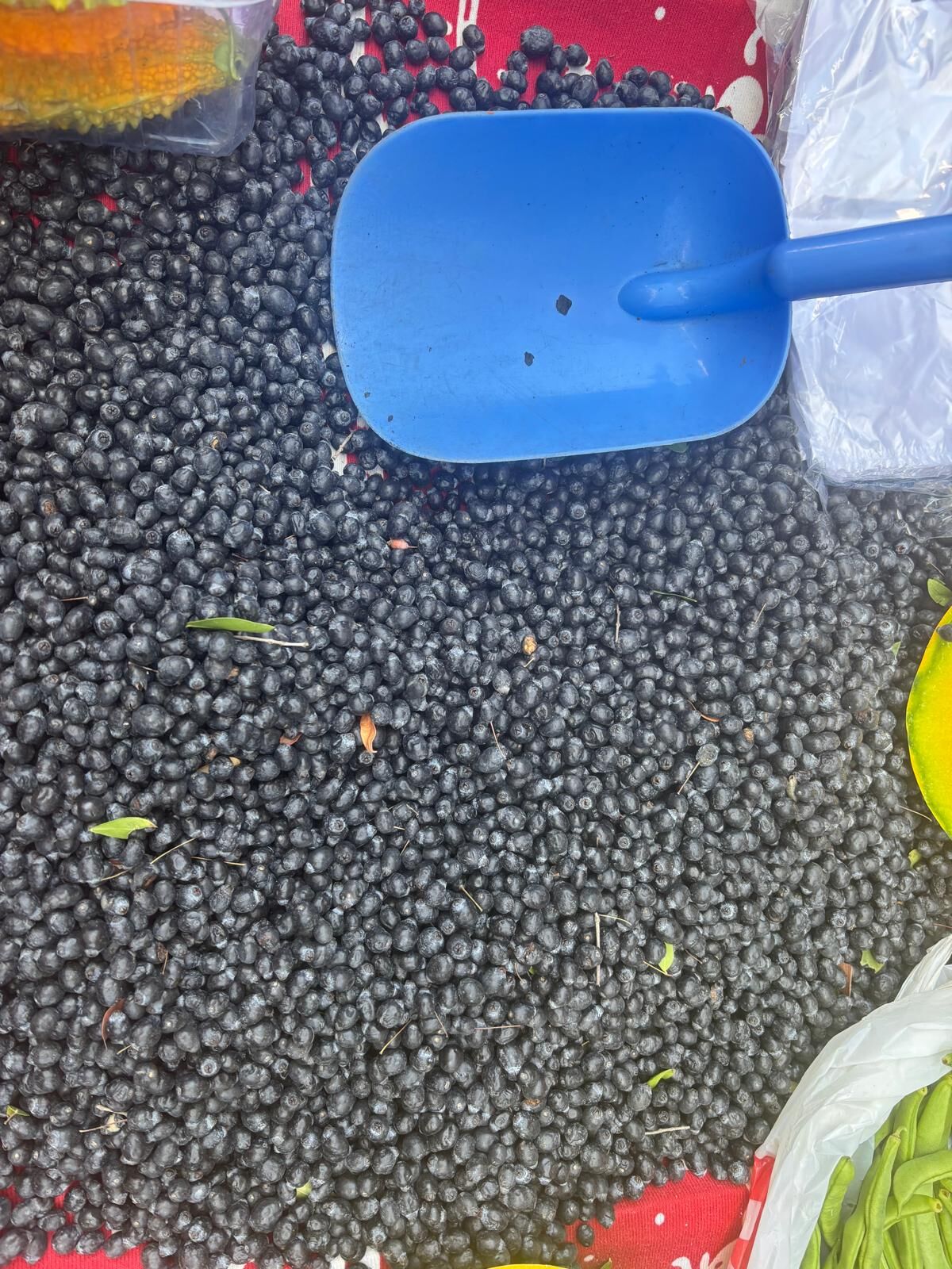 Aydin Sali Pazarinda Sifa Bereketi Dogal Urunleri Ogrenenler Her Hafta Almaya Geldi 615032 Dab80Ab3Ce31C228C2Ac231C5B71Accb