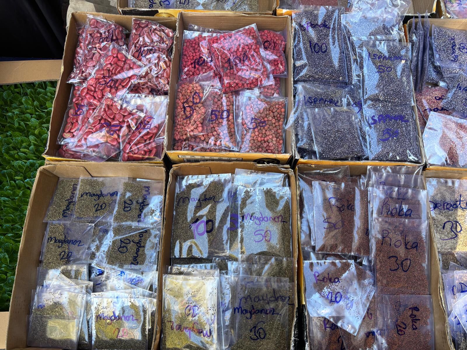 Aydinda Dededen Toruna 3 Kusak Tohumculuk Tohumlariyla Bahcelerini Yesertiyor 616703 B39B36Ba1D615B974A8D650Cf8Aef089