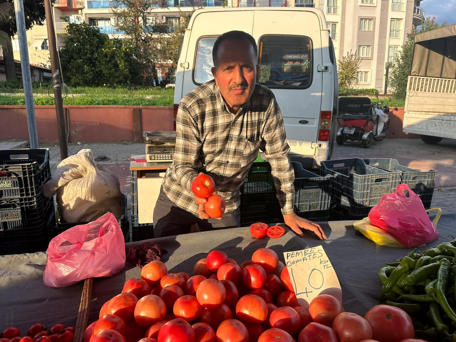 Aydın’da hasat dönemi uzadı: Tarla domatesi kasım sonuna kadar satılacak