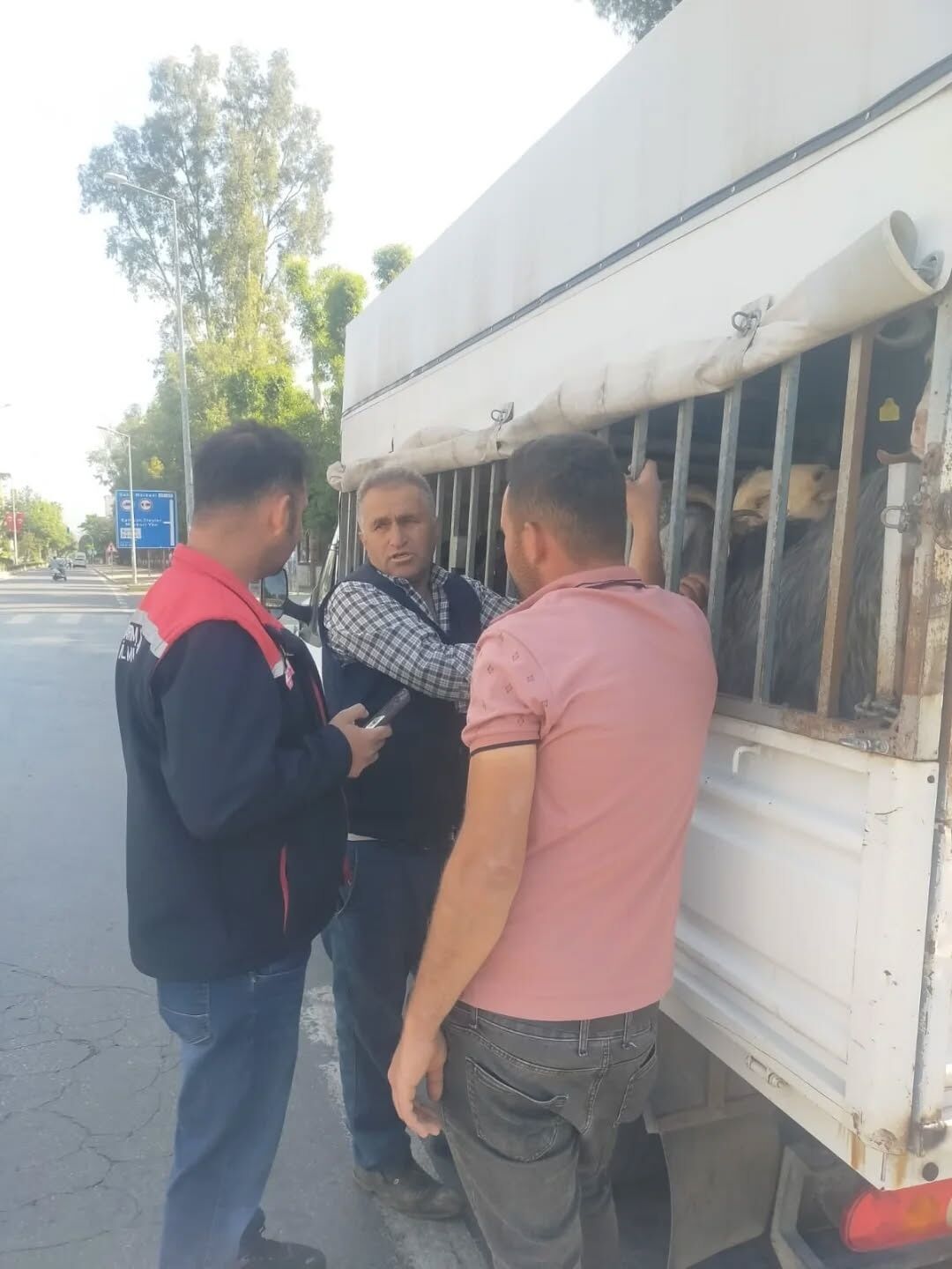 Aydın’da hayvan hastalıklarıyla mücadele sürüyor