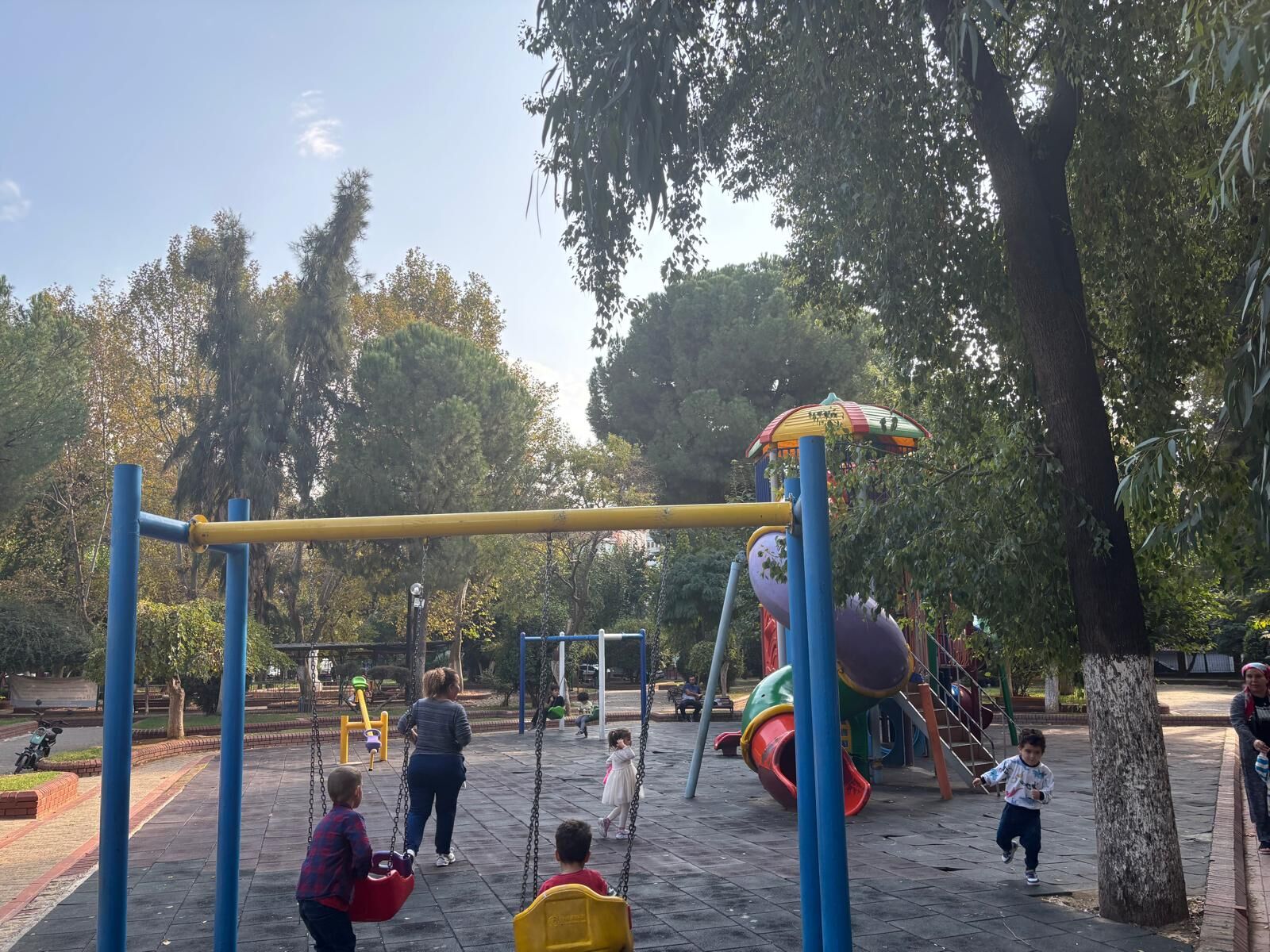 Aydın’daki park geceleri barınağa döndü