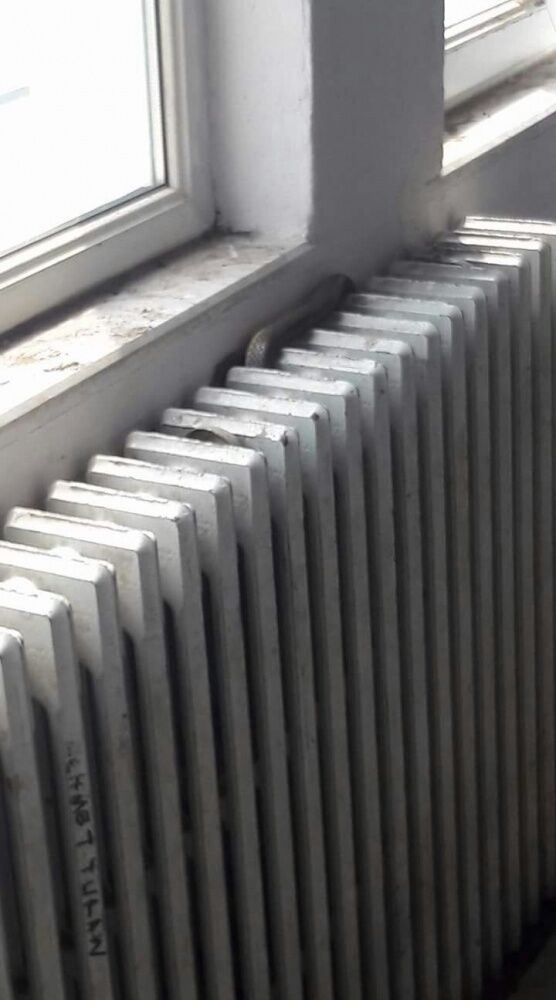 Aydinda Petek Temizligi Basladi Petegi Kirlenmeye Musait Olan Ilceler Belli Oldu Betul 611533 139186A1Eb2B14250C715Ee3583D0565