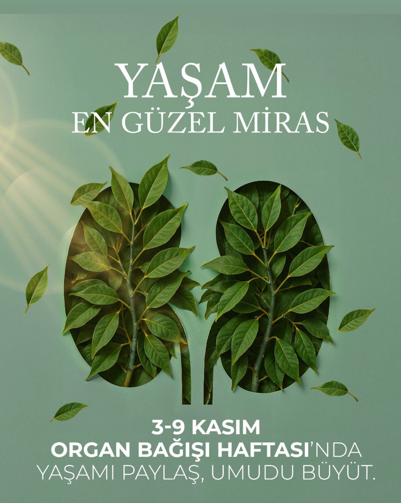 Aydindan Organ Bagisi Cagrisi Organ Bagisi Bir Yasam Hakki Meselesidir 611868 830660Eacd39590A266E44D82C111Cbb