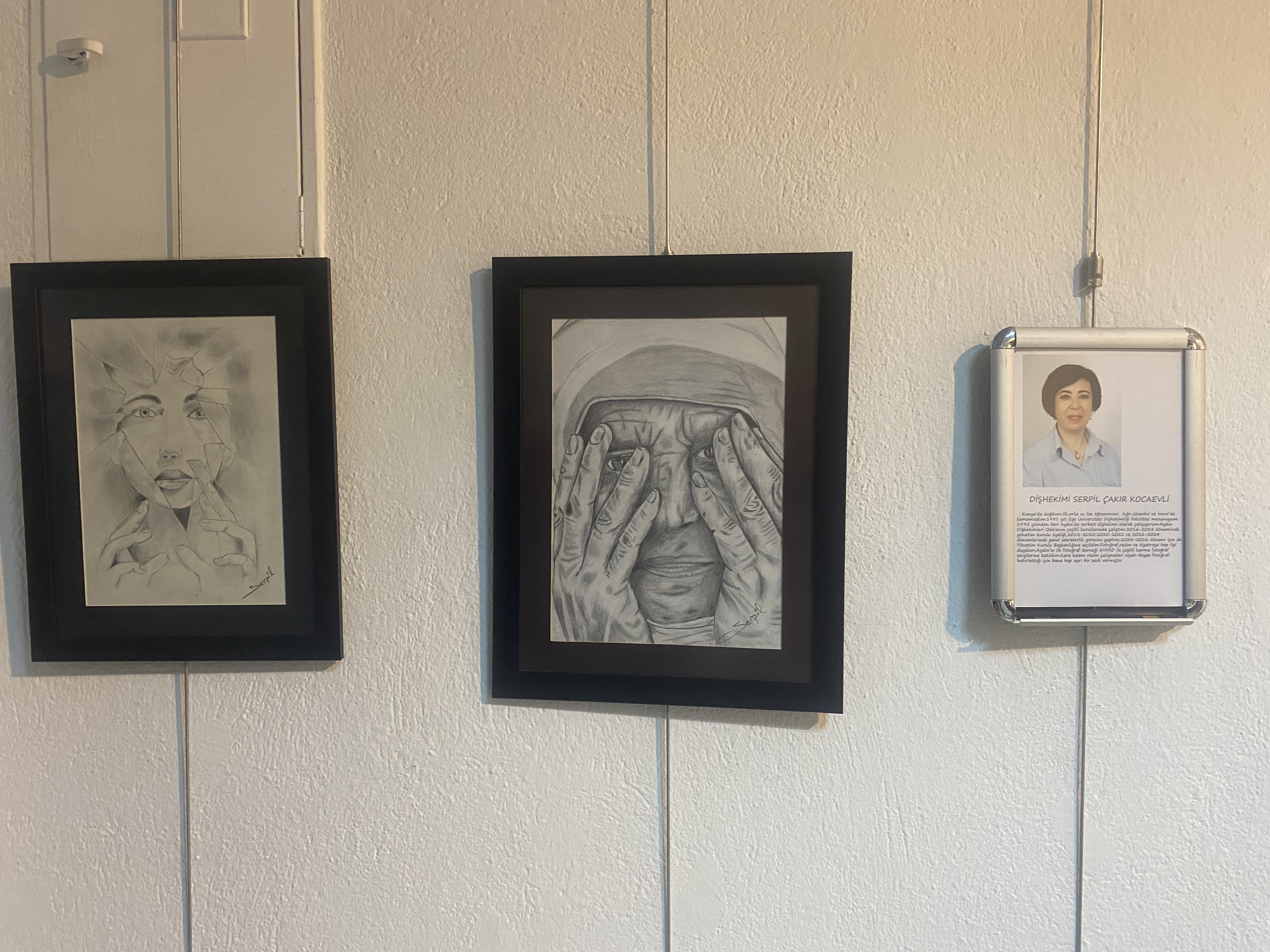 Aydinin Dis Hekimleri Hunerlerini Sergiledi Baskan Yetiskin Takip Etmek Ve Katilmak Benim Icin Cok Gurur Verici Onur Duyuyorum Betul 611404 3694Ffb9F70E117108D9F17791A6748C