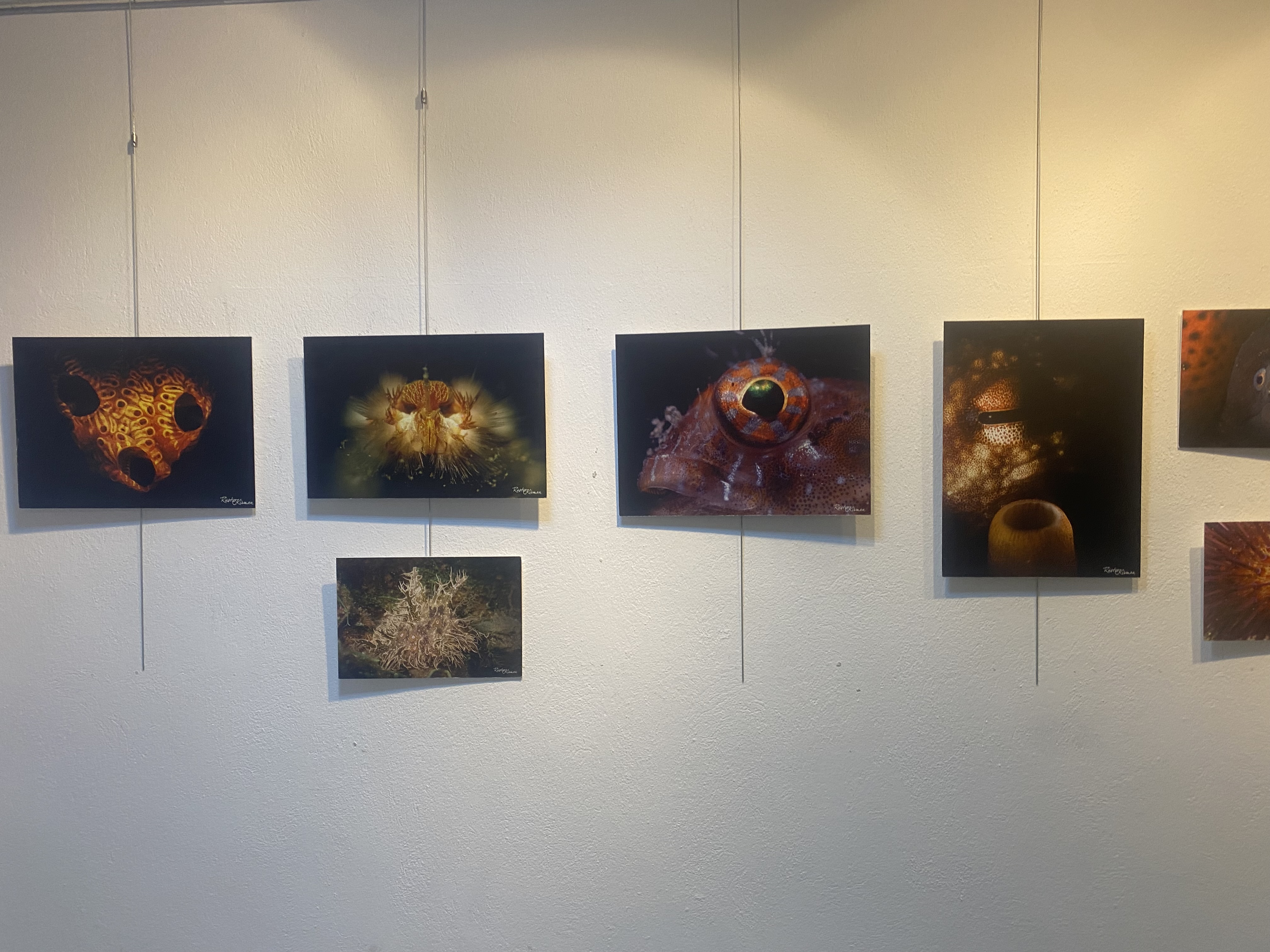 Aydinin Dis Hekimleri Hunerlerini Sergiledi Baskan Yetiskin Takip Etmek Ve Katilmak Benim Icin Cok Gurur Verici Onur Duyuyorum Betul 611404 E1C27F032Feb362Bfd2C9E8978903Efa