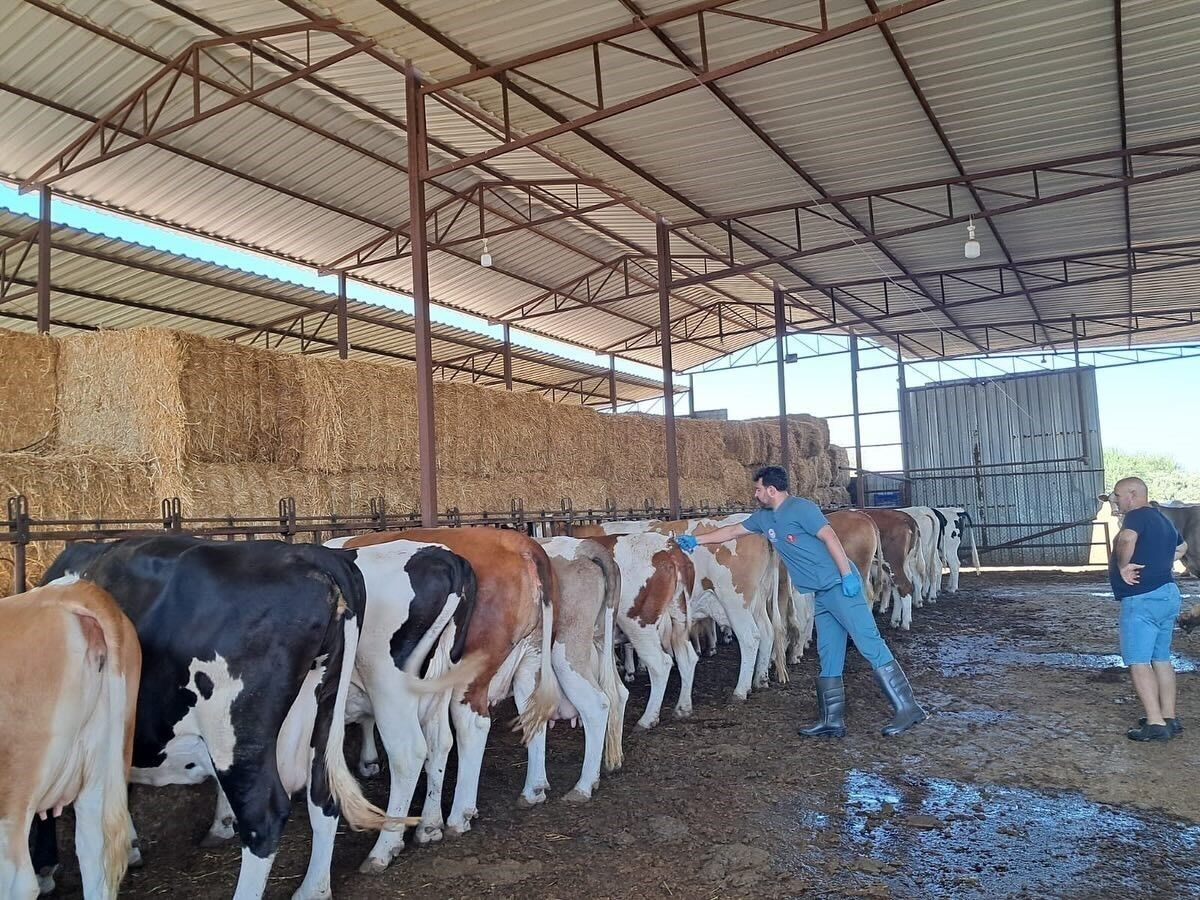 Baskan Gunes Sap Hastaligi Konusunda Uyardi Hastaligin Adi Fiyatlari Dusurdu 614637 A30D46C7F0Ef677C17781C3826E8A4Aa