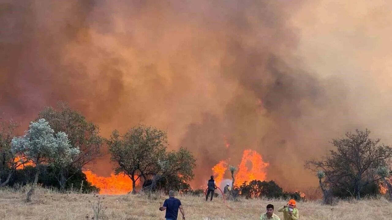 Aydın’da ne kadarlık orman alanı kül oldu?