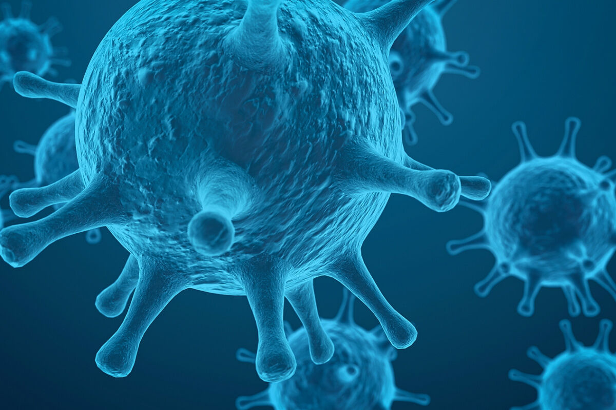 Whatsapp Image 2025 11 01 At 10.46.05