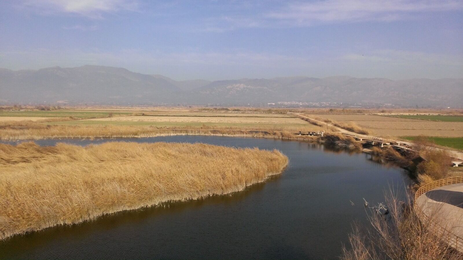 Whatsapp Image 2025 11 13 At 18.02.09