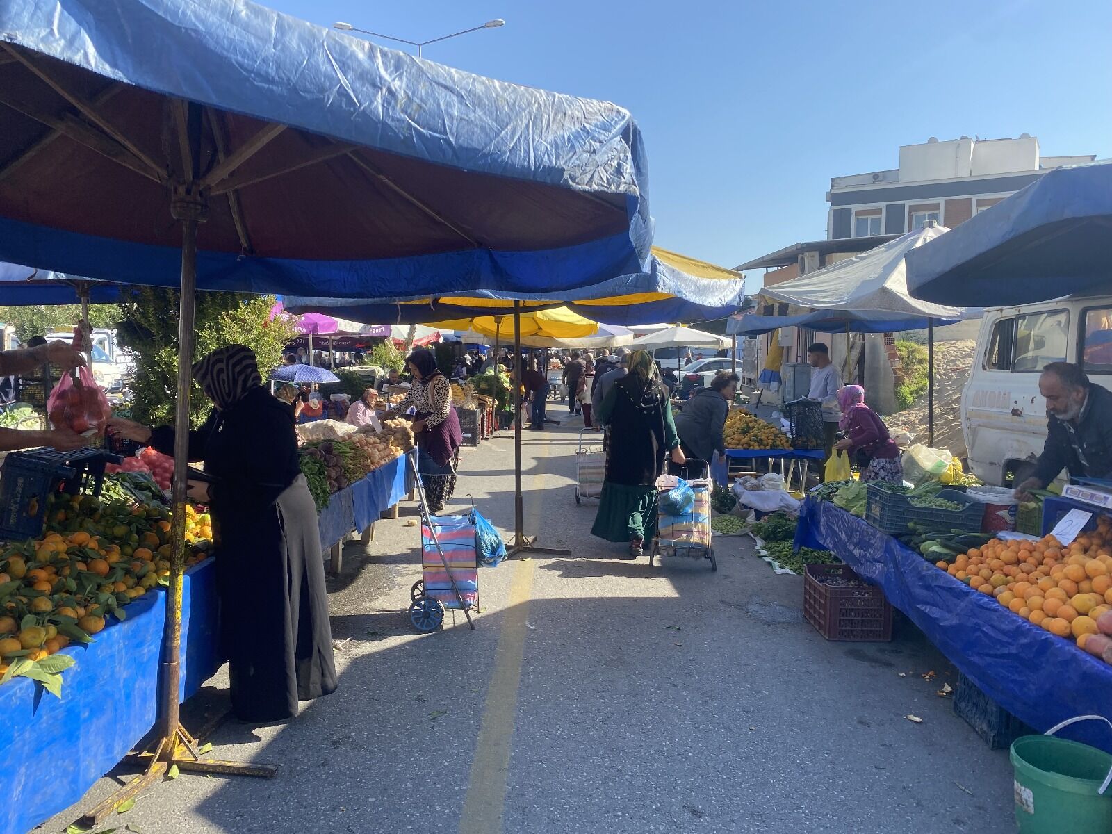 Whatsapp Image 2025 11 15 At 13.32.59