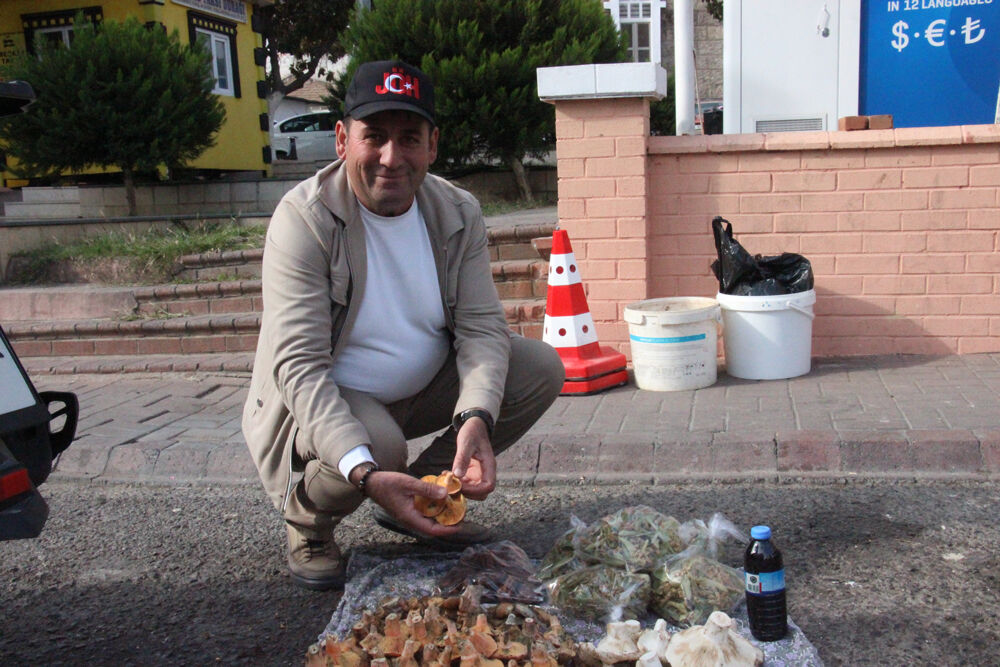 Bozdoğan’da dağ mantarlarına yoğun ilgi